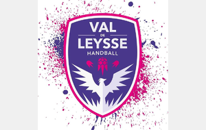 SF1 (ENTENTE) vs VAL DE LEYSSE HANDBALL 2