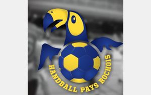 -13 FILLES (ENTENTE) vs HANDBALL PAYS-ROCHOIS 2