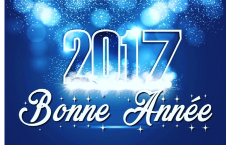 Bonne Année 2017 