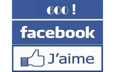 Plus de 600 like pour notre page Facebook