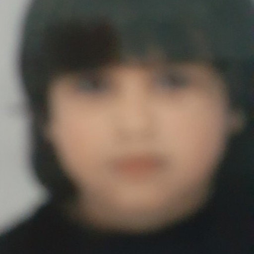 Mohamed Hichem Bouzid